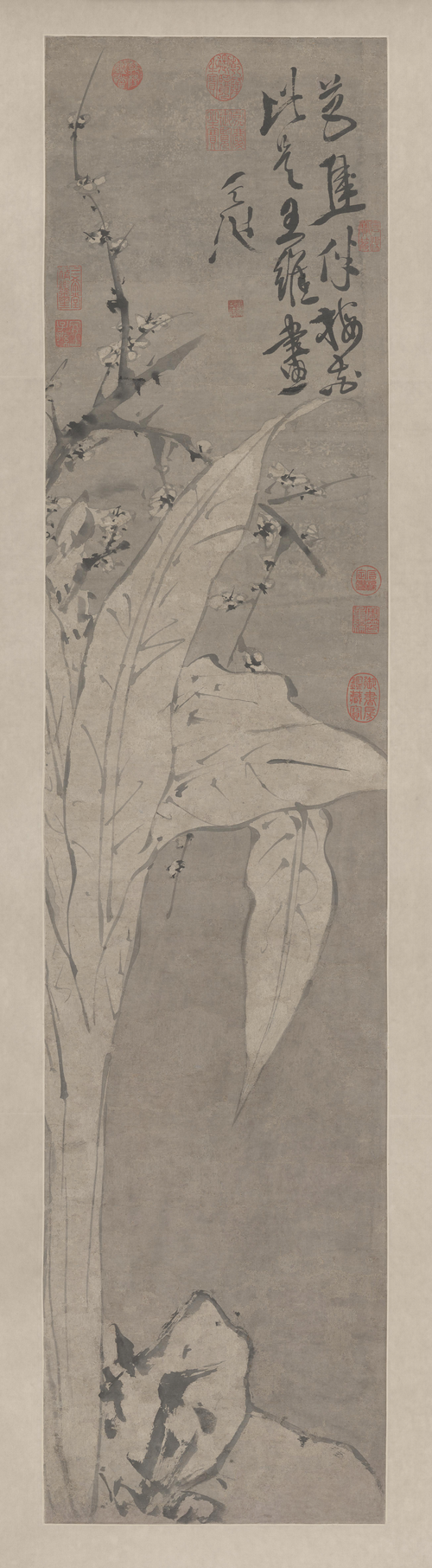 徐渭梅花蕉叶图轴, , Xu Wei