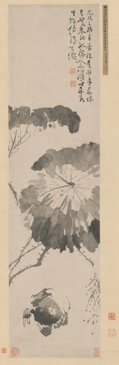 徐渭黄甲图轴, , Xu Wei