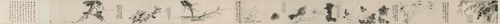 徐渭墨花卷, , Xu Wei