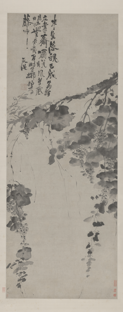 徐渭水墨葡萄图轴, , Xu Wei