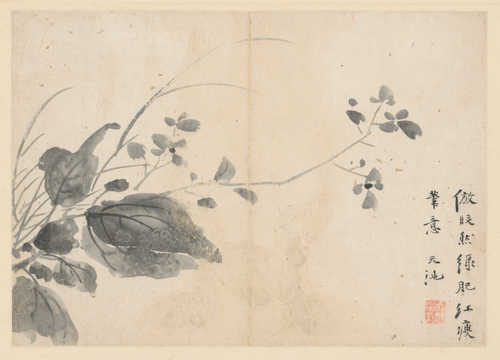 徐渭人物花卉册, , Xu Wei