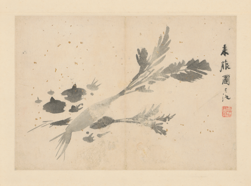 徐渭人物花卉册, , Xu Wei