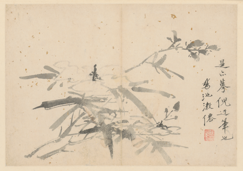 徐渭人物花卉册, , Xu Wei