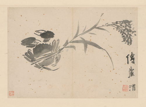 徐渭人物花卉册, , Xu Wei