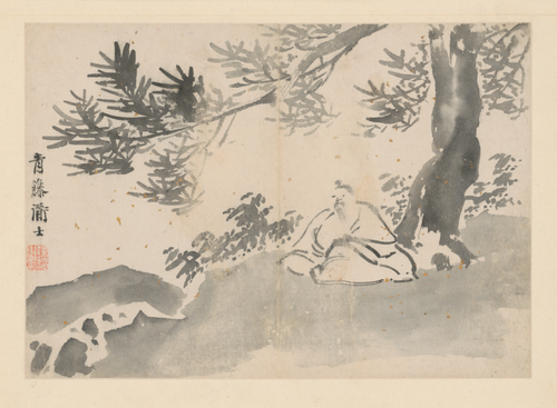 徐渭人物花卉册, , Xu Wei