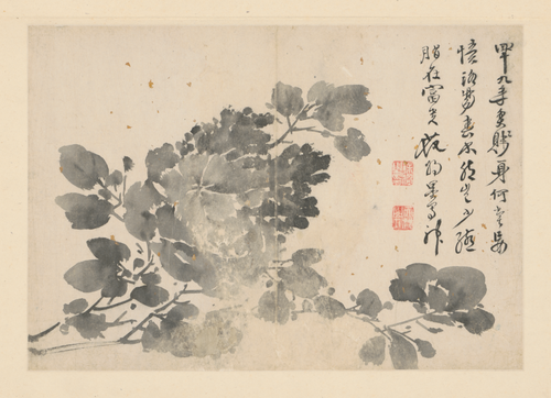 徐渭人物花卉册, , Xu Wei
