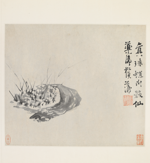 徐渭杂画图册, , Xu Wei