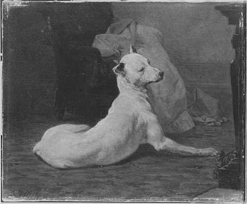 Liegende, weiße Dogge, 1885, Carl Steffeck