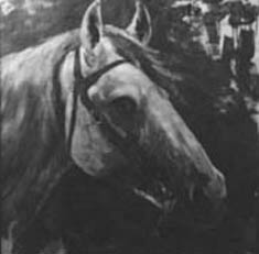 Cabeça de cavalo, 1920, Henrique Bernardelli