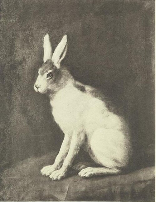 Hare, 1668, David Klöcker Ehrenstrahl
