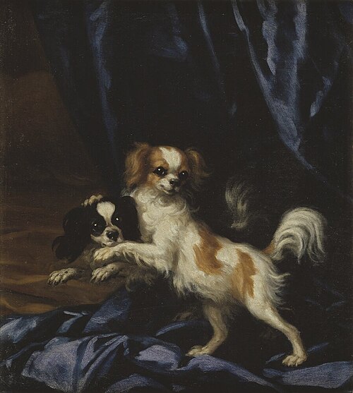 Two Small Dogs, 1673, David Klöcker Ehrenstrahl