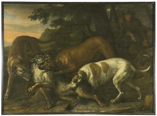 Hounds Belonging to King Karl XI Attacking a Wolf, 1674, David Klöcker Ehrenstrahl