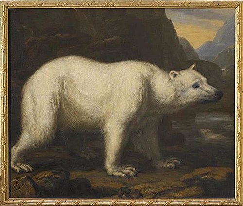 Isbjörnar, 1686, David Klöcker Ehrenstrahl