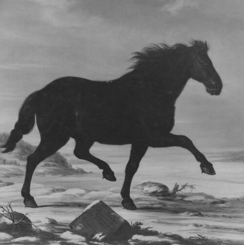 Finske slädlöparen, Karl XI:s häst, 1680, David Klöcker Ehrenstrahl