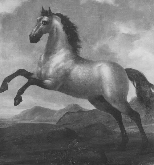 Karl XI:s livhäst Falck, 1673, David Klöcker Ehrenstrahl