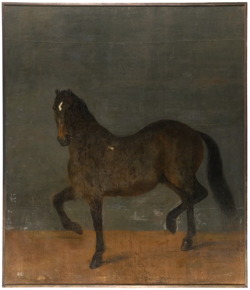 Häst kallad Brandklipparen, 1673, David Klöcker Ehrenstrahl