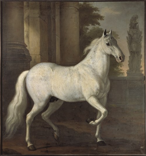 Karl XI:s livhäst Brilliant, 1680, David Klöcker Ehrenstrahl
