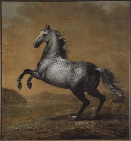 Karl XI:s livhäst Den Lille Engländaren, 1680, David Klöcker Ehrenstrahl