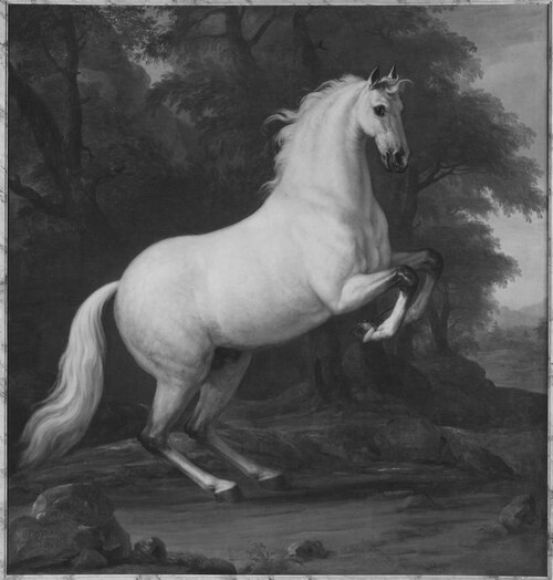 Karl XI:s livhäst Precieux, 1674, David Klöcker Ehrenstrahl