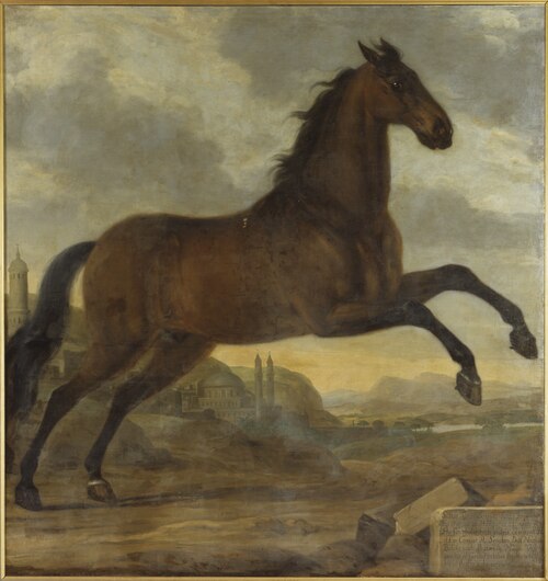 Karl XI:s livhäst Sultan, 1689, David Klöcker Ehrenstrahl