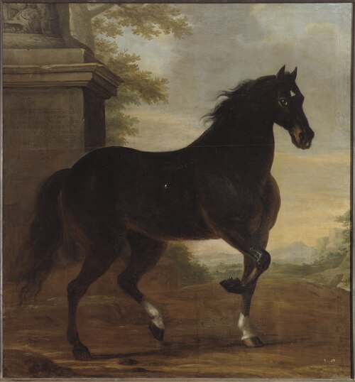 Karl XI:s livhäst Tott, 1680, David Klöcker Ehrenstrahl