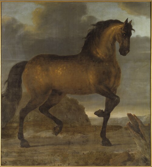 Karl XI:s livhäst Stenbock, 1673, David Klöcker Ehrenstrahl