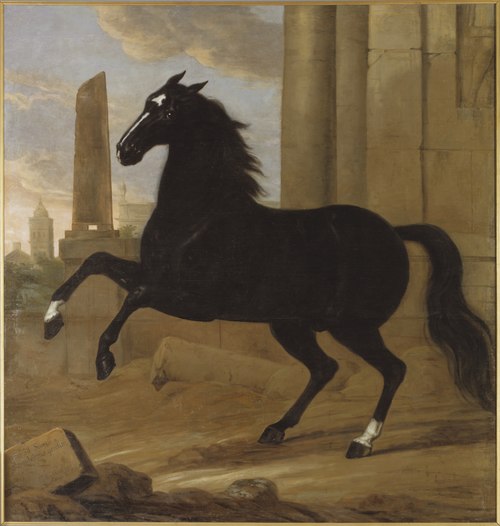 Favourite, one of King Karl XI's riding horses, 1689, David Klöcker Ehrenstrahl