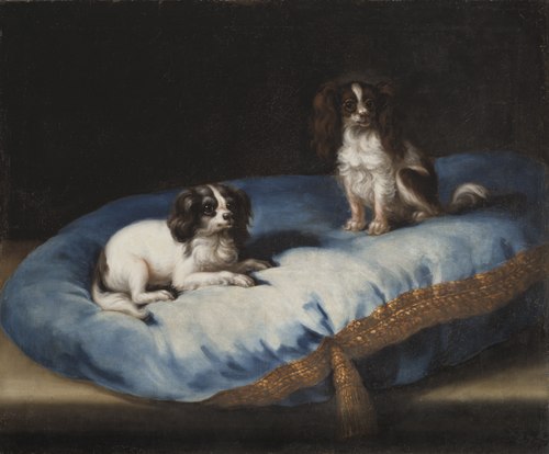 Två mindre hundar, 1679, David Klöcker Ehrenstrahl