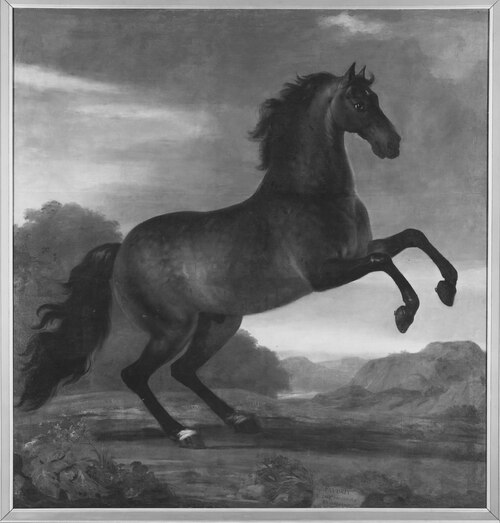 Karl XI:s livhäst Favorit Hispanicus, 1673, David Klöcker Ehrenstrahl