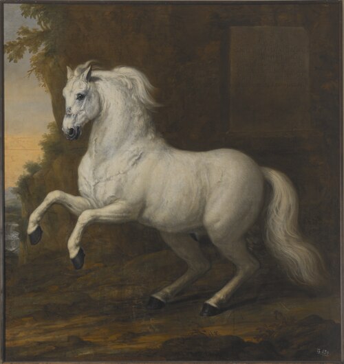 Karl XI:s livhäst Kortom, 1684, David Klöcker Ehrenstrahl