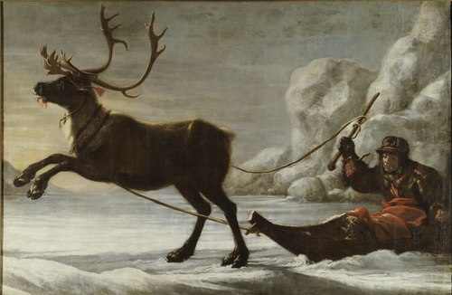 Reindeer with a sledge, 1671, David Klöcker Ehrenstrahl