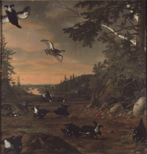 Black Cocks at Ground, 1675, David Klöcker Ehrenstrahl