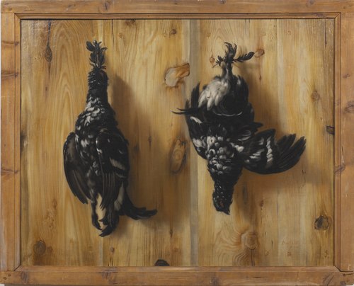 Stilleben med två orrtuppar mot en brädvägg, 1672, David Klöcker Ehrenstrahl