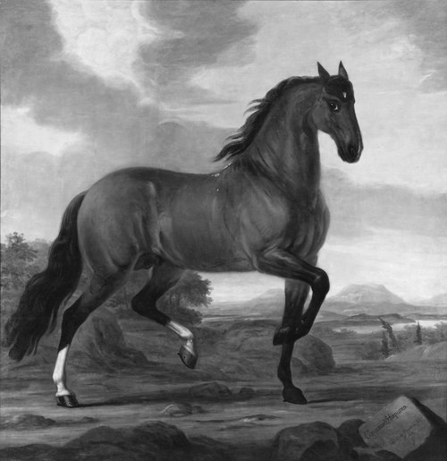 Conquerant Hispanus, 1689, David Klöcker Ehrenstrahl
