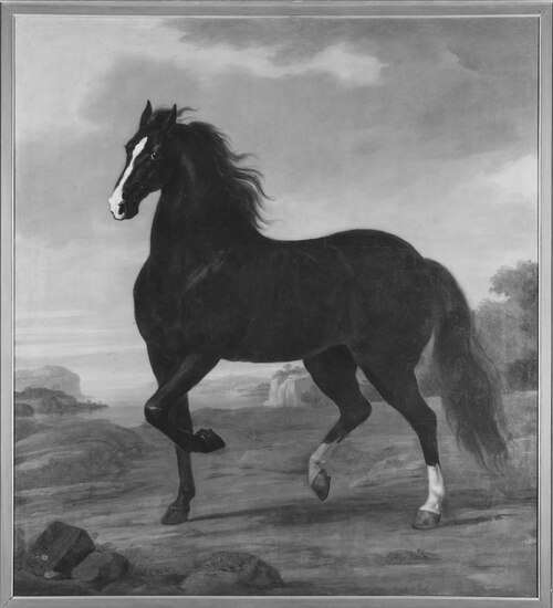 Karl XI:s livhäst Pegasus, 1684, David Klöcker Ehrenstrahl
