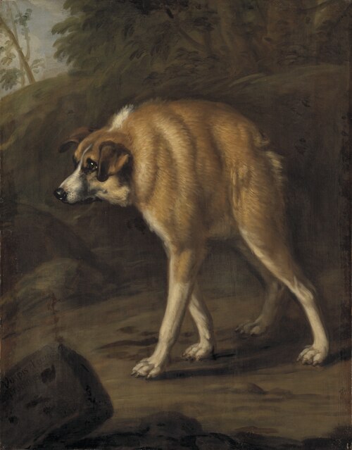Missbildad hund, 1690, David Klöcker Ehrenstrahl