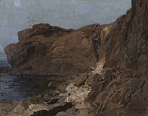 Nordische Felsenküste und Seevögel, 1907, Carl Saltzmann