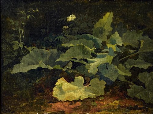 Plant Study, , Francis Devlan