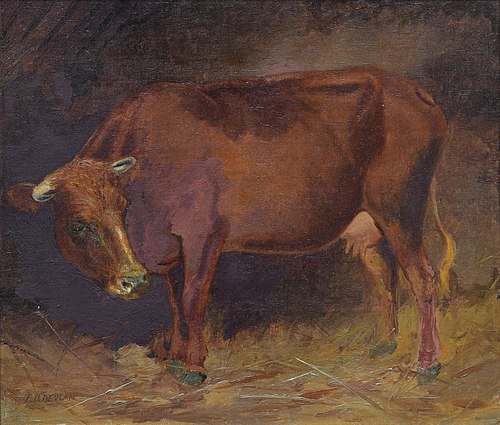 Cow, , Francis Devlan