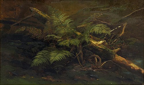 Study in Ferns, , Francis Devlan