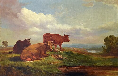 Cows in Pasture, , Francis Devlan