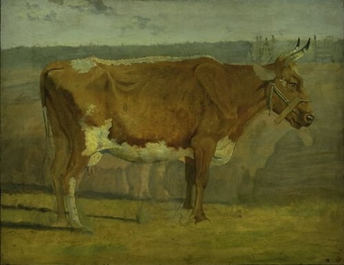 Study of a Cow, 1840, Johann Thomas Lundbye