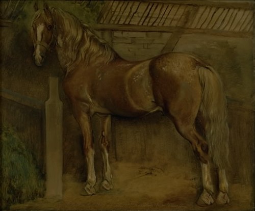 Seksten-årig hingst af Knabstrup-racen, 1847, Johann Thomas Lundbye