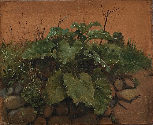 A Burdock and Other Plants on a Stone Wall, 1847, Johann Thomas Lundbye