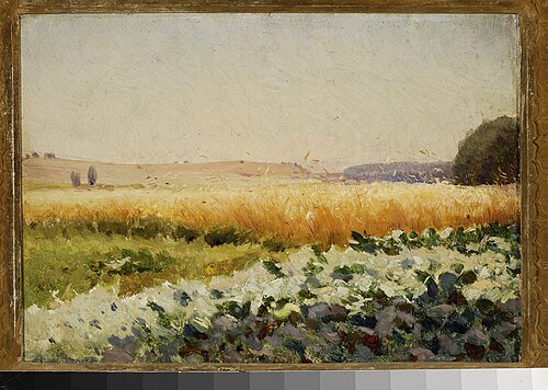 Field of cabbage., 1895, Jan Stanisławski