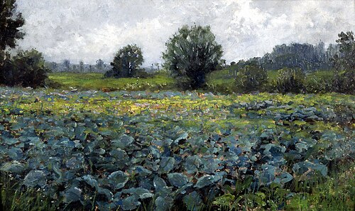 Champ de choux, 1892, Gustave Stoskopf