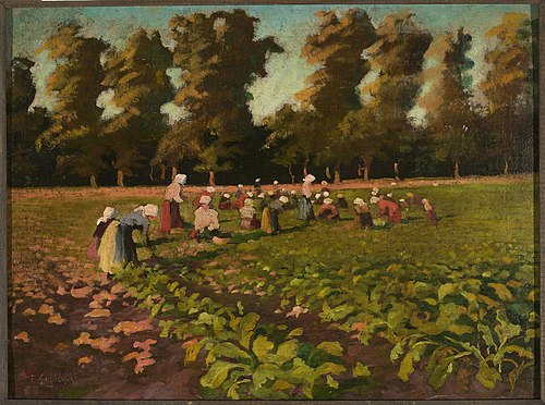 Harvesting beetroots, , Franciszek Łubieński