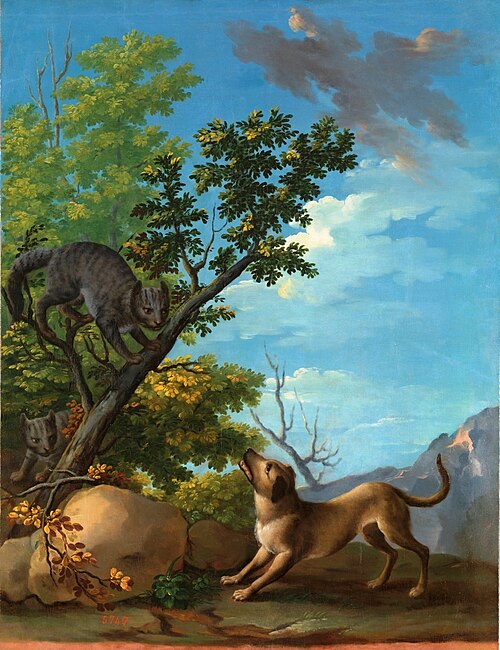 Perro y gatos, 1775, Andrés Ginés de Aguirre