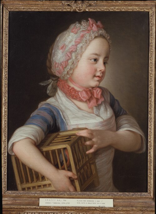 Girl with Bullfinch in a Cage, 1766, Per Krafft