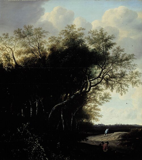 A Dutch landscape, , Jan Goedart